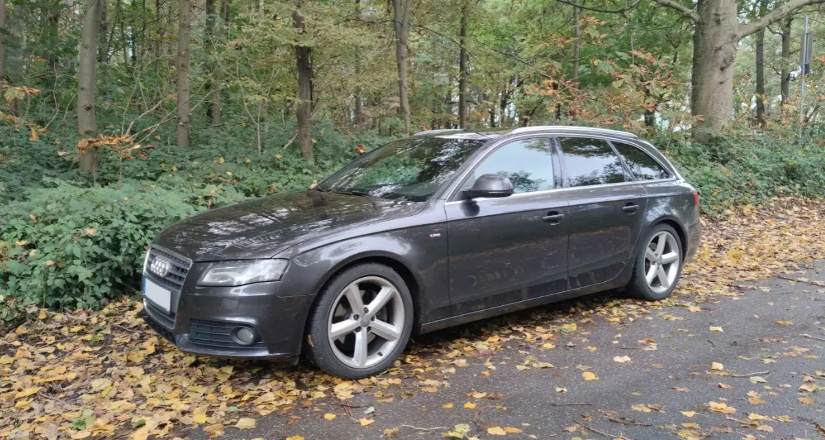Dunkelgrauer Audi A4 Avant 2008 parkt im Herbstwald, umgeben von Laub.