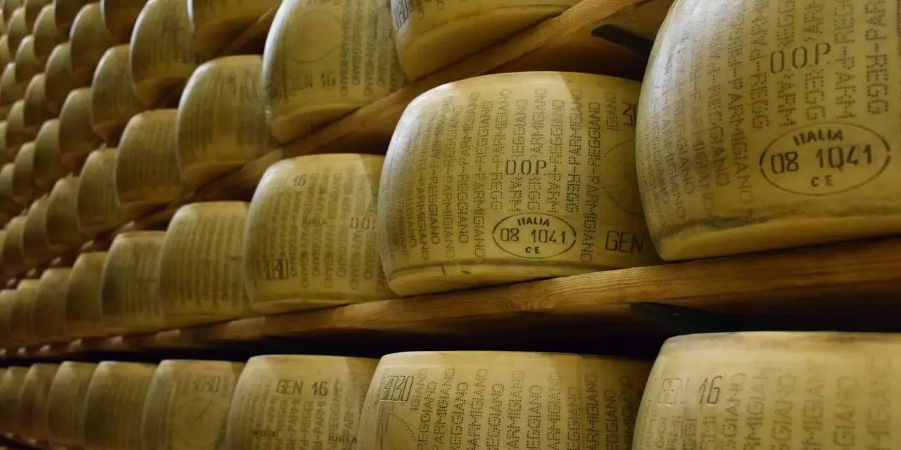 Siatki kręgów sera Parmigiano Reggiano, gotowe do dojrzewania. Ile po otwarciu? To pytanie zadaje sobie każdy miłośnik tego włoskiego specjału.