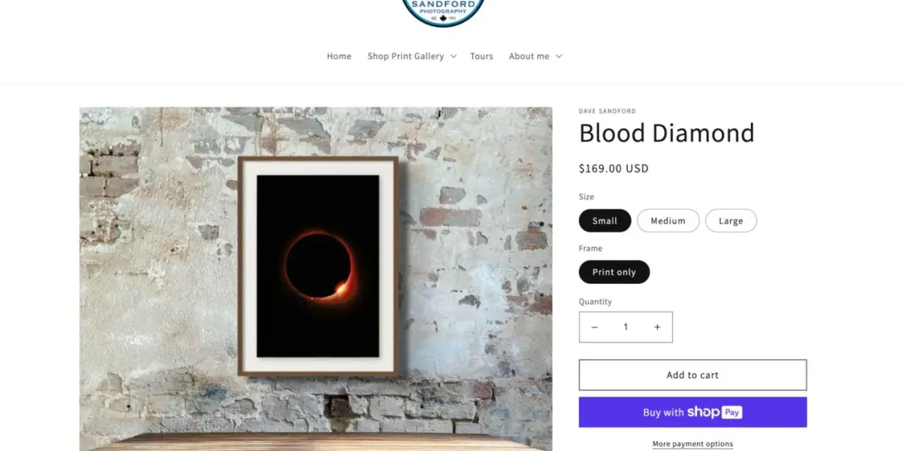 Strona prezentuje zdjęcie "Blood Diamond" autorstwa Dave'a Sandforda, pokazując, jak zarabiać na zdjęciach, sprzedając je w różnych rozmiarach i opcjach ram.