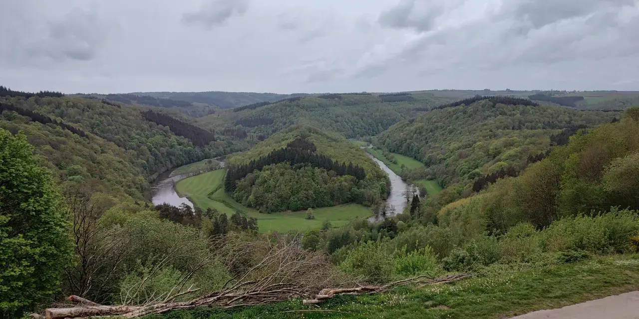 Malowniczy zakole rzeki w zielonych Ardenach, otoczone wzgórzami porośniętymi lasem.