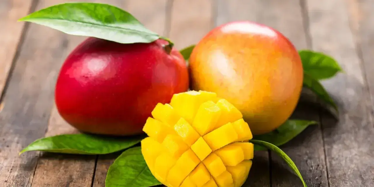 Dwa soczyste mango, jedno czerwone, drugie pomarańczowe, i jedno pokrojone w kostkę, idealne, gdy jest sezon na mango.