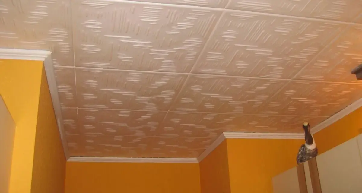 Soffitto con pannelli in polistirolo decorati, un esempio di come montare pannelli polistirolo soffitto per un look moderno.