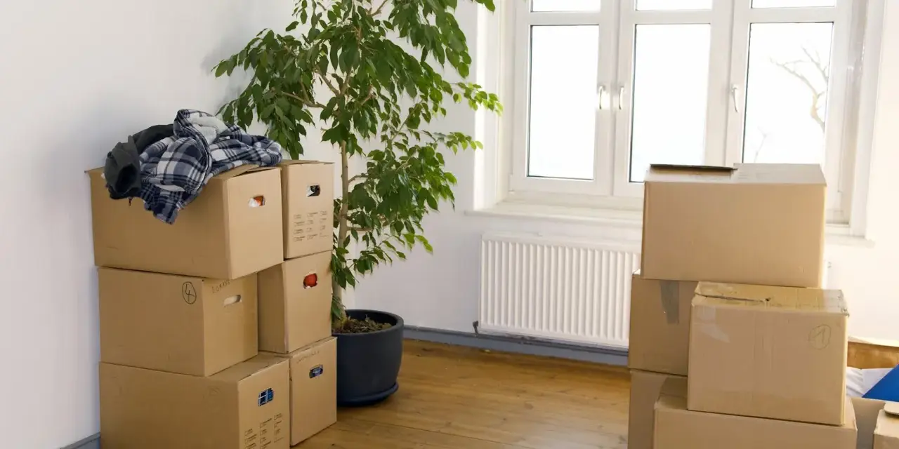 Umzugskartons stapeln sich in einem Zimmer, bereit für den Einzug in Hamburg. Ein grüner Ficus und ein Fenster mit Blick nach draußen.