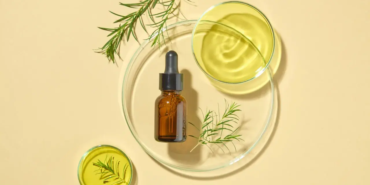 Flacone ambrato con contagocce, oli essenziali e rametti verdi su vetrini da laboratorio. Attenzione: il tea tree oil brucia la pelle se non diluito.