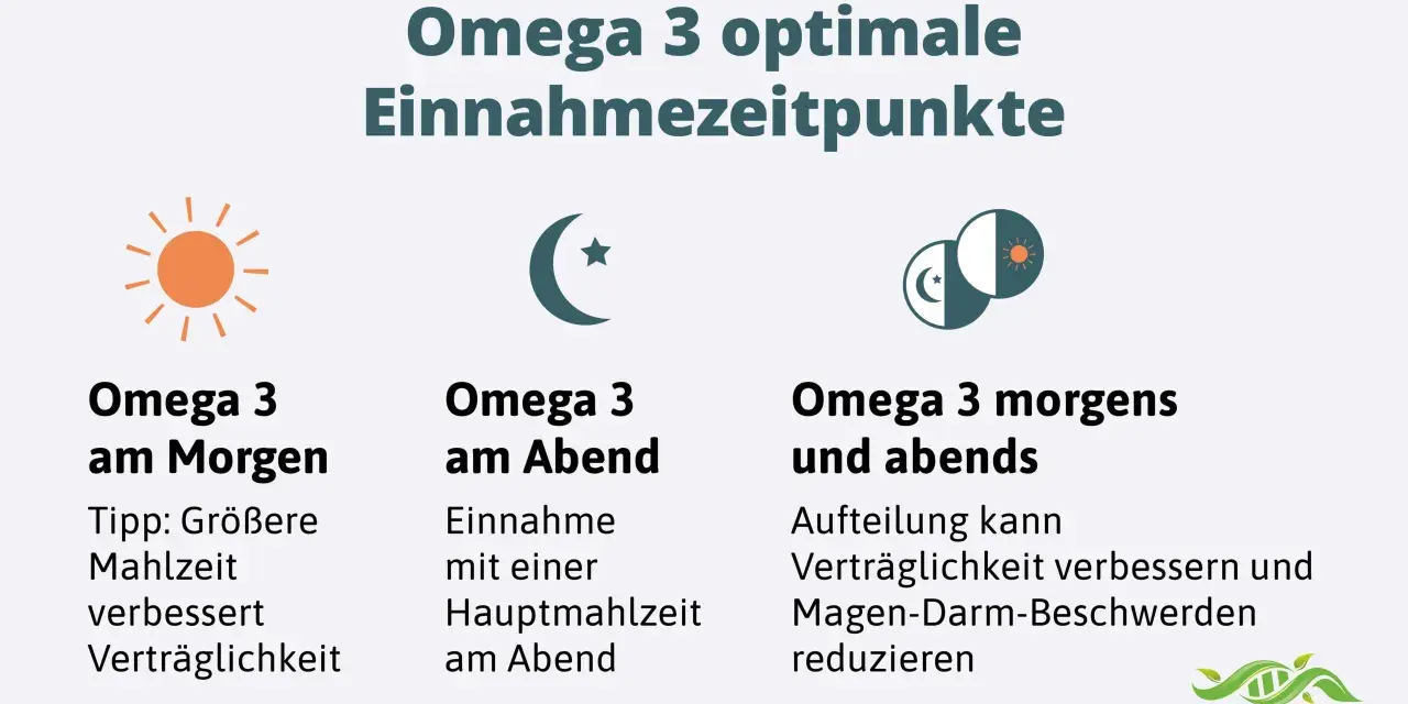 Omega 3 optimale Einnahmezeitpunkte: morgens zur größeren Mahlzeit, abends zur Hauptmahlzeit oder aufgeteilt für bessere Verträglichkeit.