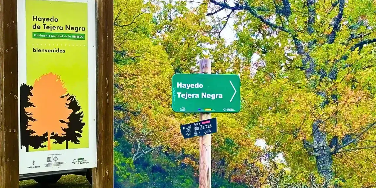 Cartel de bienvenida al Hayedo de Tejera Negra, Patrimonio Mundial de la UNESCO. Señalización de senderos en un bosque otoñal.