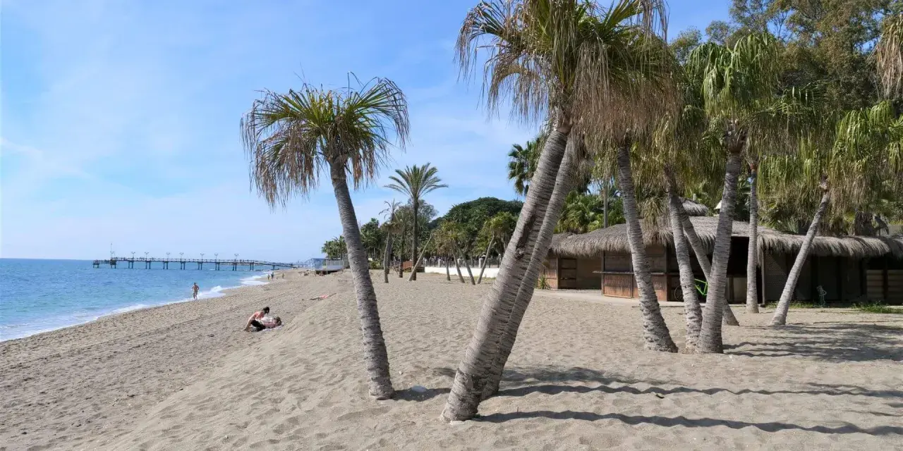 Plaża w Marbelli z palmami, piaskiem i budynkiem z krytym strzechą dachem. W oddali widać molo i błękitne morze.