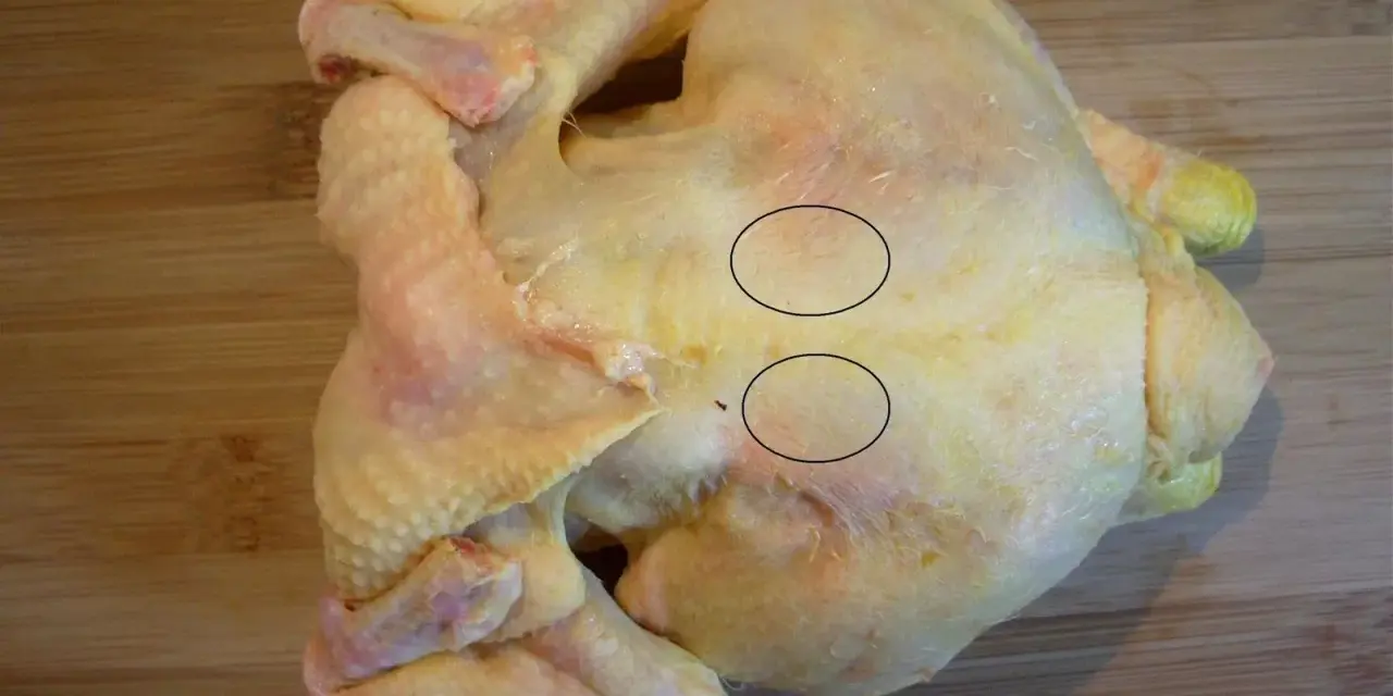 Un poulet cru sur une planche à découper en bois. Deux cercles noirs entourent des zones de chair où l'on peut voir des fibres musculaires. On dirait que le sot l'y laisse.