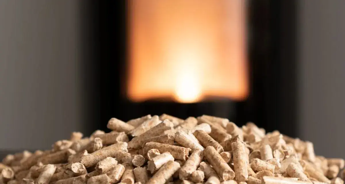 Un mucchio di pellet, combustibile ecologico, pronto per alimentare un fuoco caldo. Il pellet a cosa serve? A riscaldare le case in modo sostenibile.