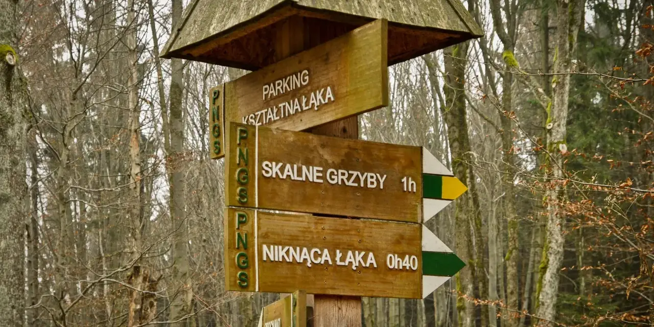 Drewniany drogowskaz w lesie wskazuje trasę do Skalnych Grzybów. Wskazówki prowadzą też na parking i do Niknącej Łąki.