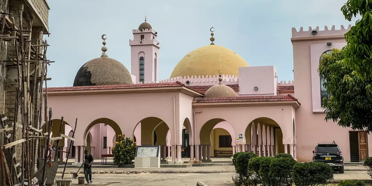 Różowa budowla z kopułami i minaretem, przypominająca meczet, w stolicy Tanzanii. Obok plac budowy.
