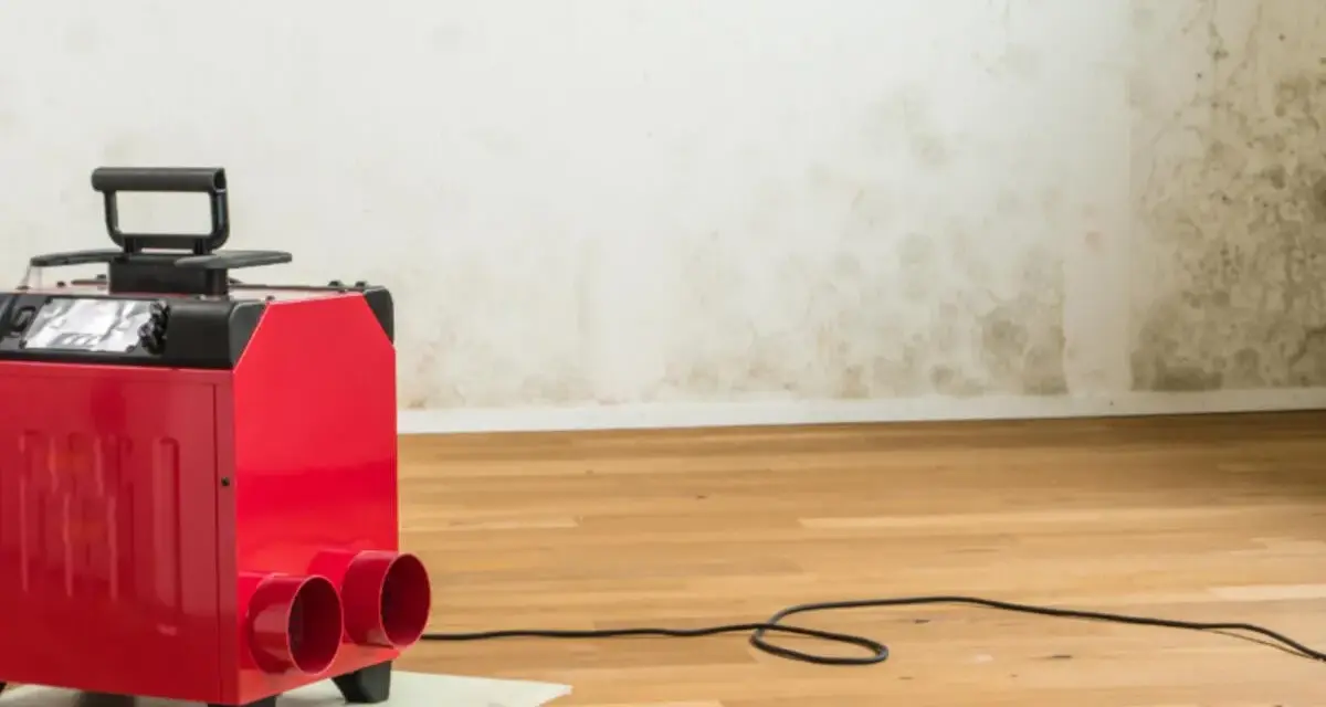 Roter Bautrockner im Einsatz gegen Wasserschaden. Die Wand zeigt deutliche Spuren von Feuchtigkeit und Schimmel.