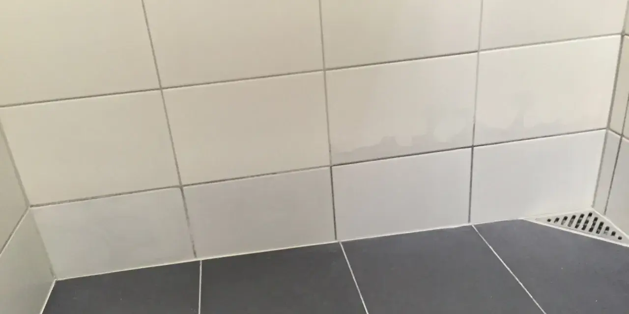 Fuktskada kakel i duschen. Mörka fläckar syns på de ljusa väggplattorna, ett tecken på fuktproblem.