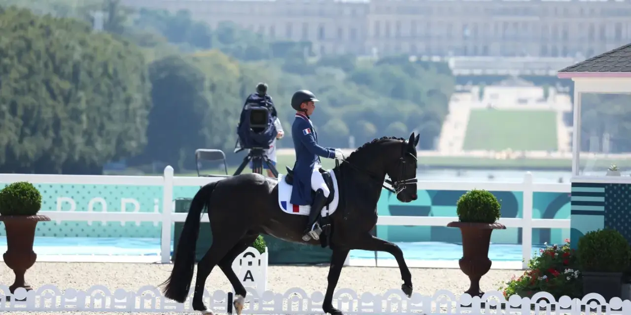 Un cavalier dressage français, en tenue bleue et blanche, monte un cheval noir dans une carrière. Le château de Versailles est visible en arrière-plan.