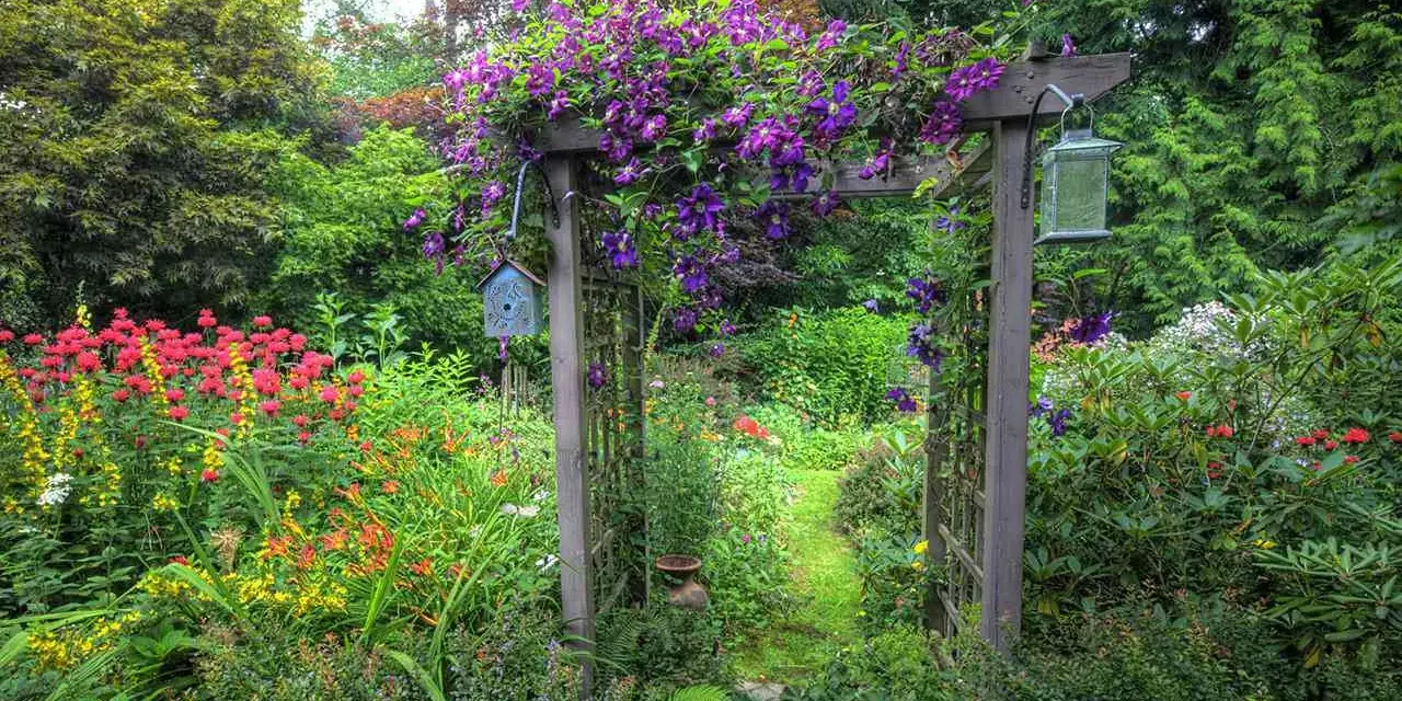 Ein Holzbogen, üppig mit lila Clematis bewachsen, markiert den Eingang zu einem blühenden Garten. Ein Vogelhaus und eine Laterne zieren den Bogen.