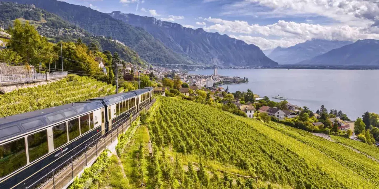 A train travels through lush vineyards overlooking a lake and mountains, part of the scenic Golden Pass Montreux to Interlaken route.