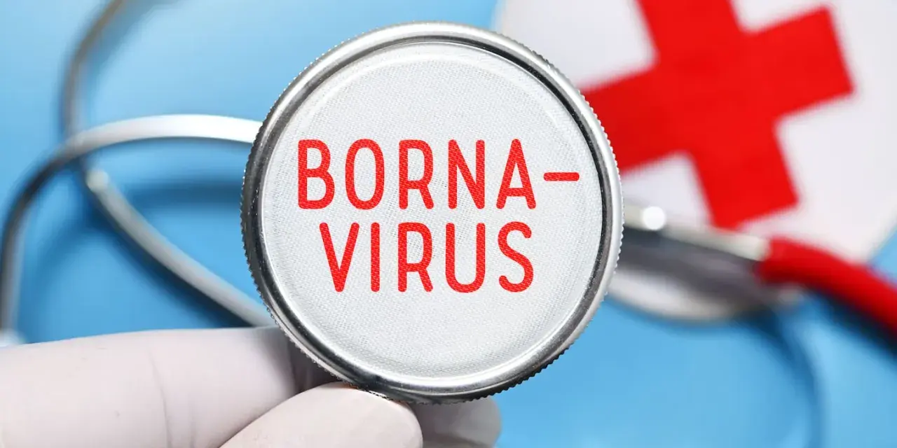 Borna Virus Symptome: Warnsignale, die Sie nicht ignorieren sollten