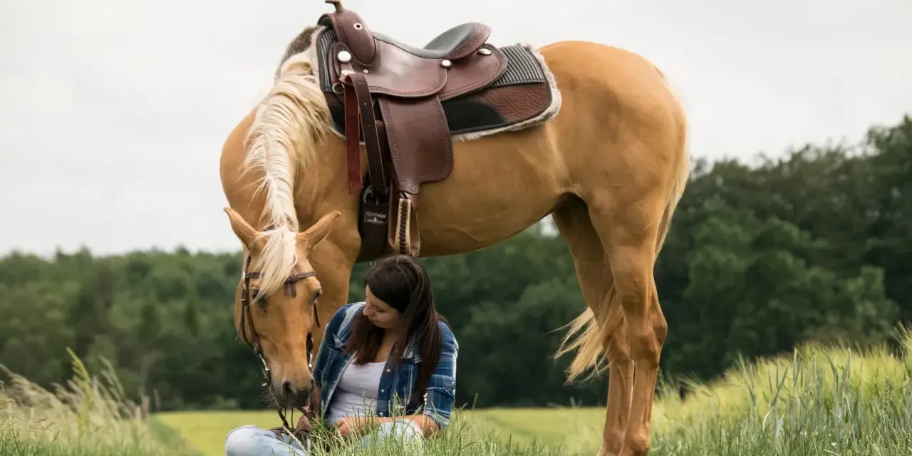 Une jeune femme assise dans l'herbe caresse un Quarter Horse à la robe dorée, sellé pour une promenade.