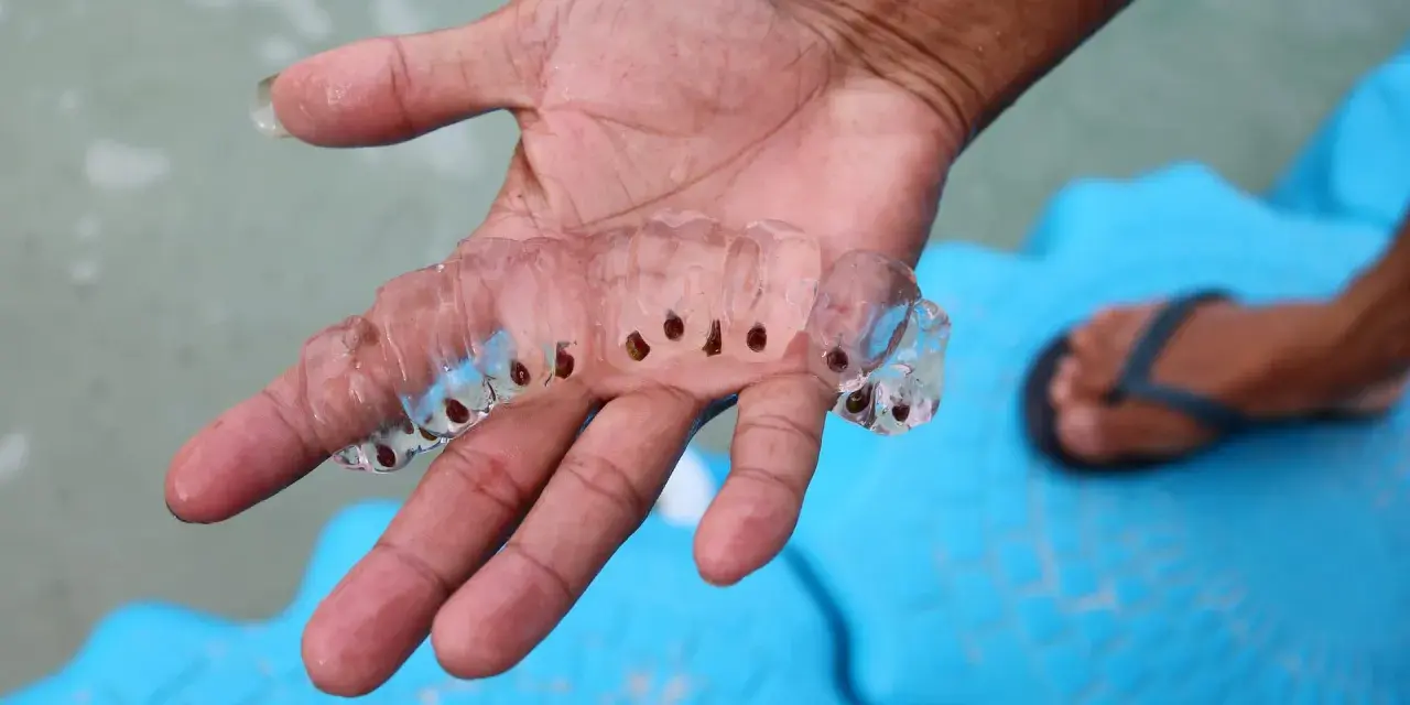 Una mano sostiene una cadena de salpas que son transparentes y gelatinosas, con pequeños puntos oscuros en su interior.