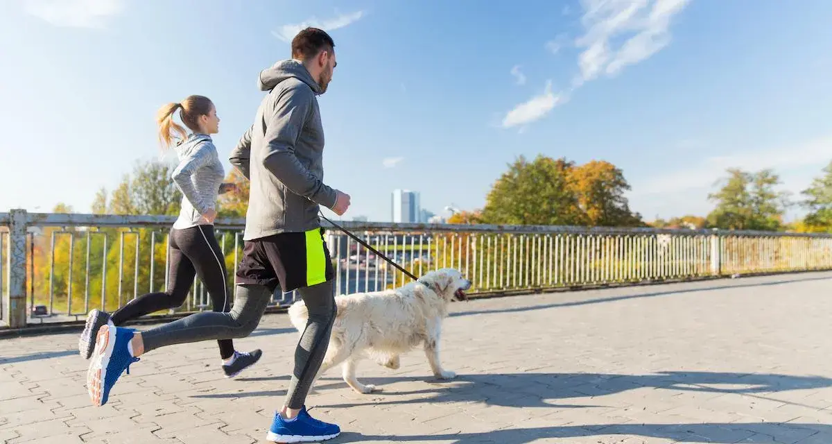Coppia che corre con il cane su un ponte in una giornata di sole.
