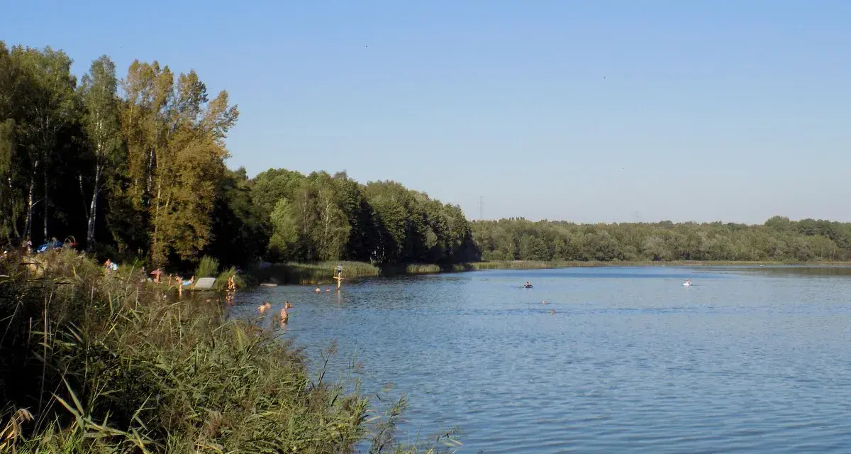 Letnie popołudnie nad jeziorem Rogoźnik. Ludzie kąpią się i odpoczywają na plaży wśród zieleni.
