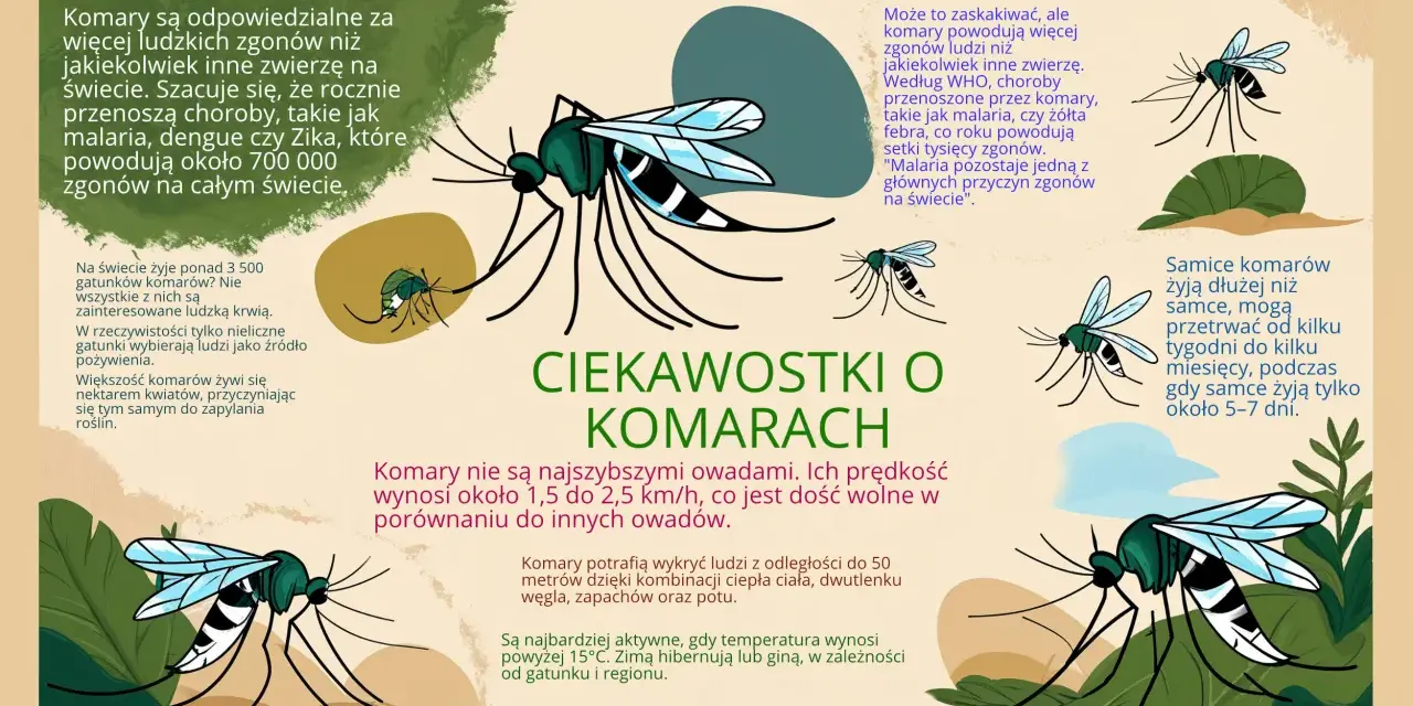 Czy komary są pożyteczne? Większość żywi się nektarem, zapylając rośliny. Choć przenoszą choroby, nie wszystkie gatunki piją krew.