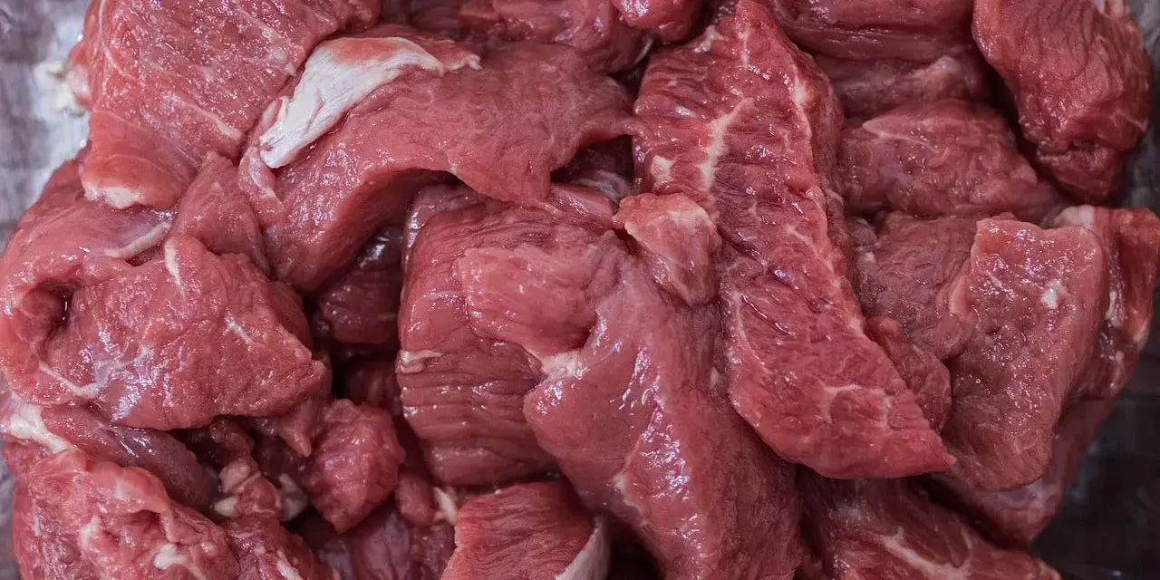 Gros morceaux de viande rouge crue, prêts pour une ration barf chien. Une alimentation naturelle pour votre compagnon.