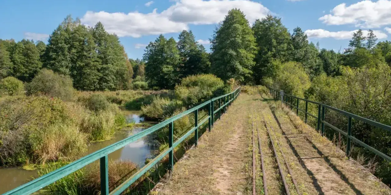 Most starych torów kolejowych nad rzeką w Białowieskim Parku Narodowym. Ciekawostki przyrodnicze i historyczne tego miejsca zachwycają.