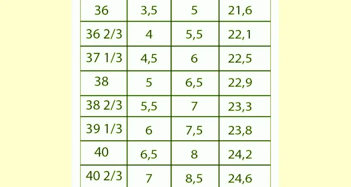 Tabela rozmiarów obuwia: 6,5 US to 38 EU, 22,9 cm.