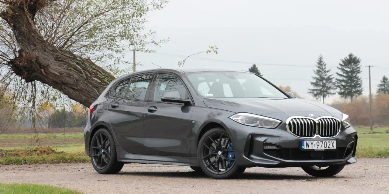 Szare BMW 118i zaparkowane przy przewróconym drzewie.