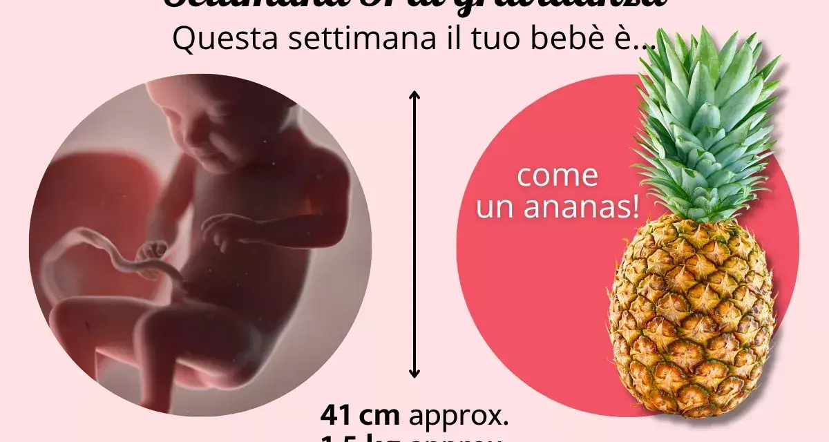 A 31 settimane di gravidanza, il tuo bimbo è grande come un ananas! Pesa circa 1,5 kg.