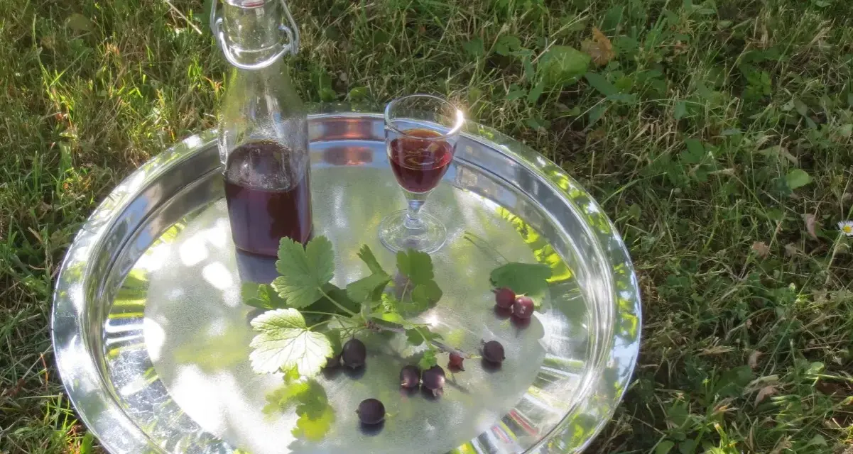 Ein Glas und eine Flasche mit dunklem Saft, garniert mit Jostabeeren und Blättern, auf einem Tablett im Gras. Perfekt für Jostabeere Rezepte.