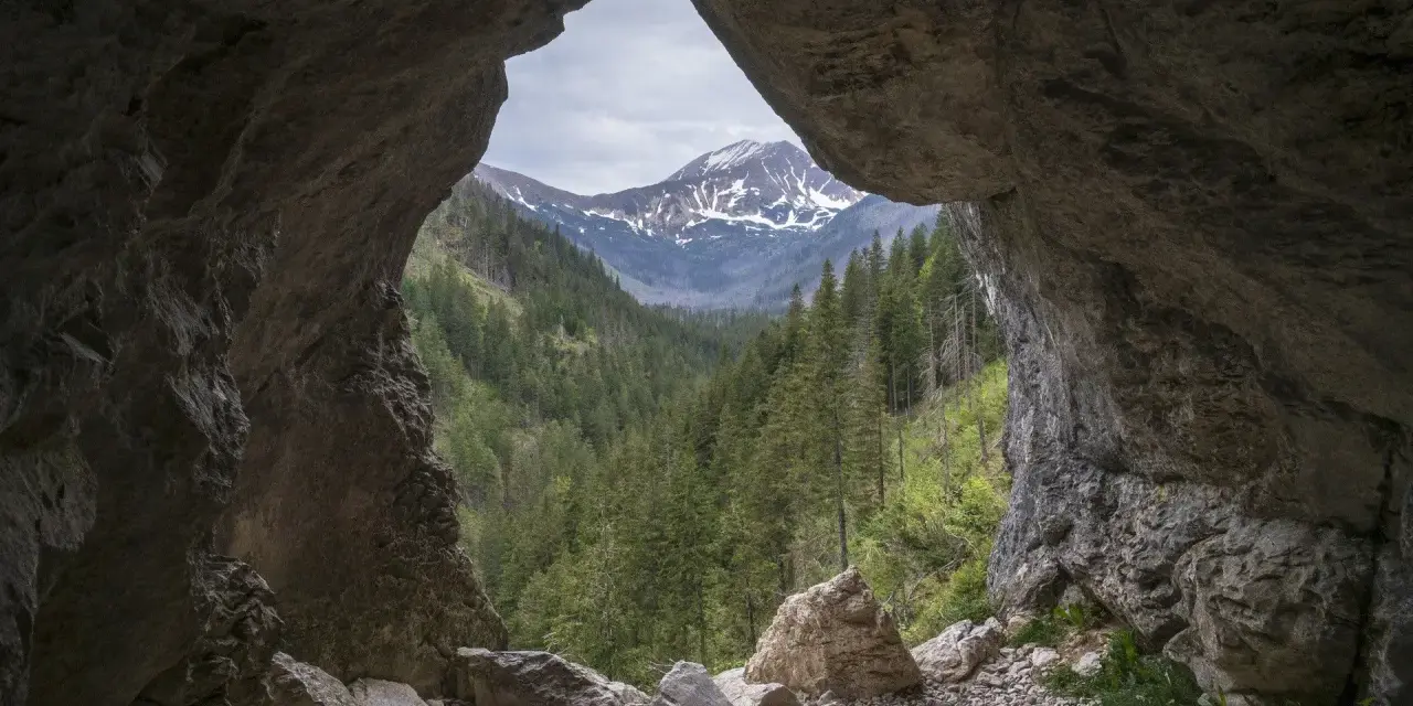 Widok z jaskini w Tatrach na ośnieżone szczyty i gęsty las.