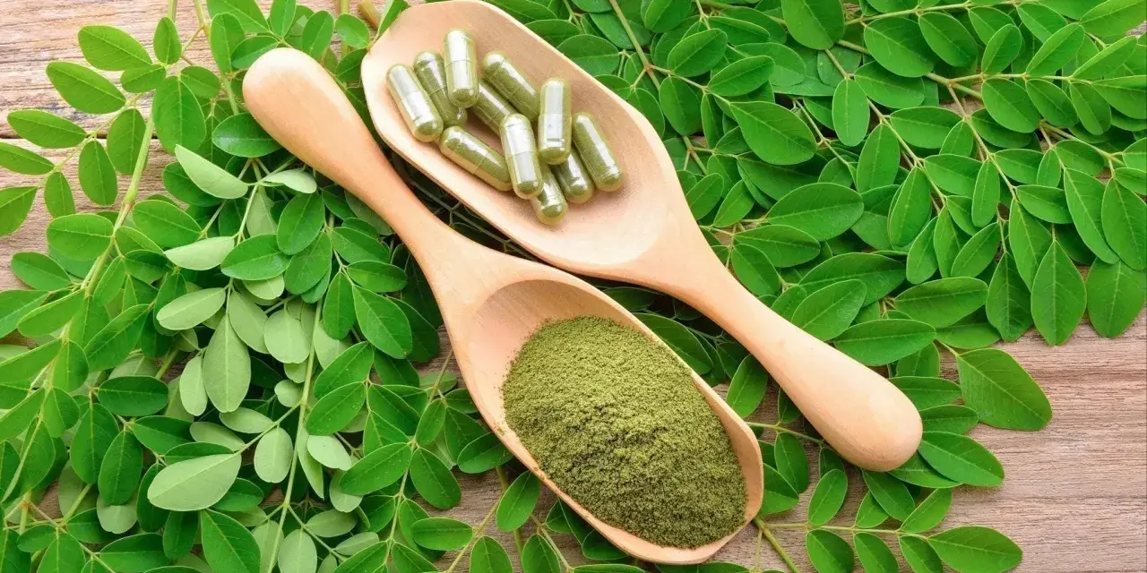 Feuilles de moringa, poudre verte et gélules sur des cuillères en bois. Découvrez les nombreux moringa bienfaits pour votre santé.