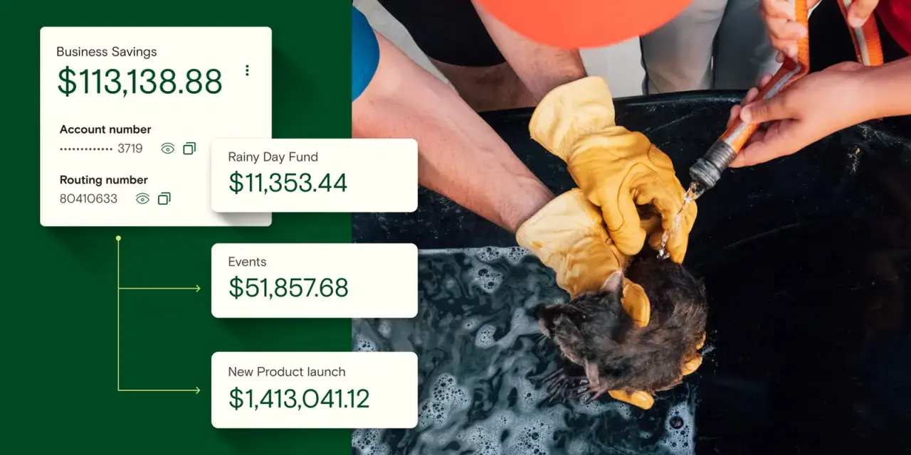 A nonprofit's reserves: $113k business savings, $11k rainy day fund, $51k events, and $1.4M for a new product launch.
