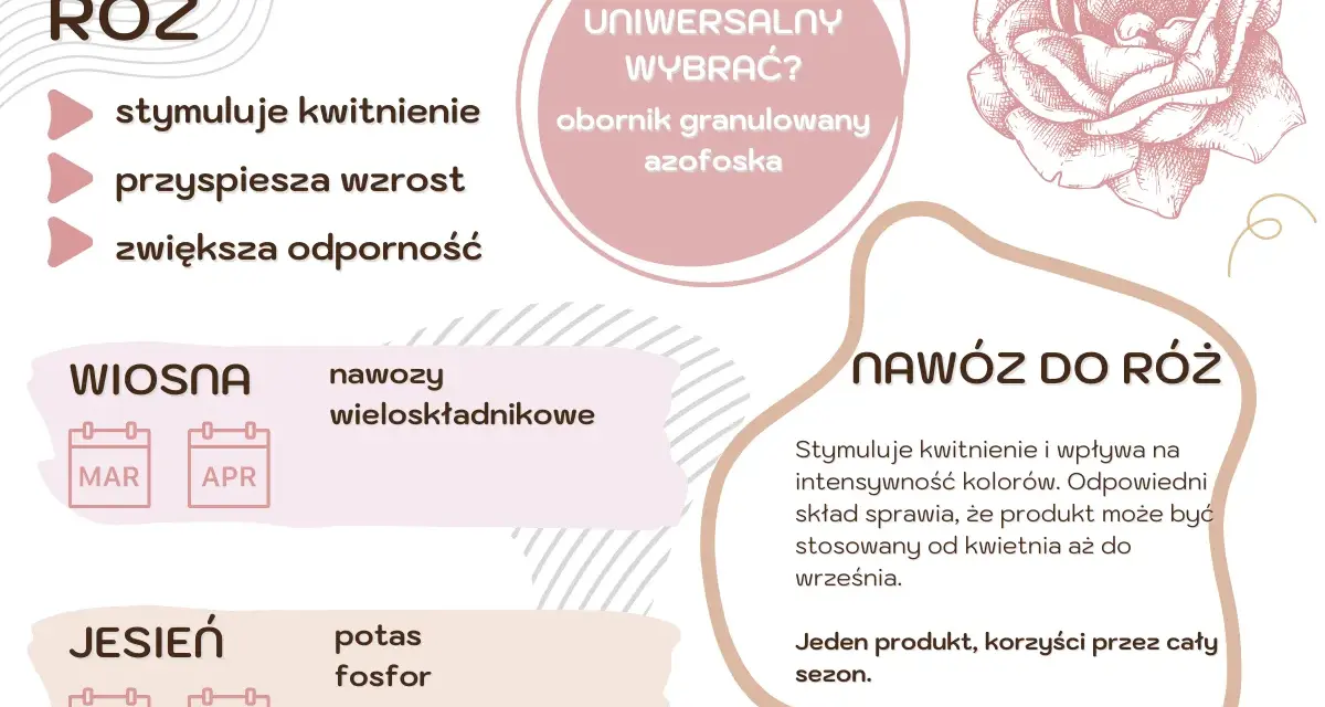 Domowy nawóz do róż stymuluje kwitnienie, przyspiesza wzrost i zwiększa odporność. Stosuj wiosną i jesienią.