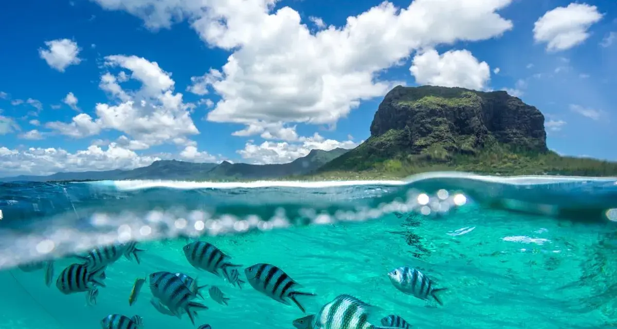 Podwodny świat Mauritiusa zachwyca. Uważaj na prądy, ale podziwiaj ryby i górę Le Morne Brabant.