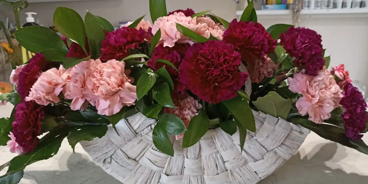 Piękne kompozycje z goździków w koszu. Różowe i bordowe kwiaty z zielonymi liśćmi tworzą elegancką całość.