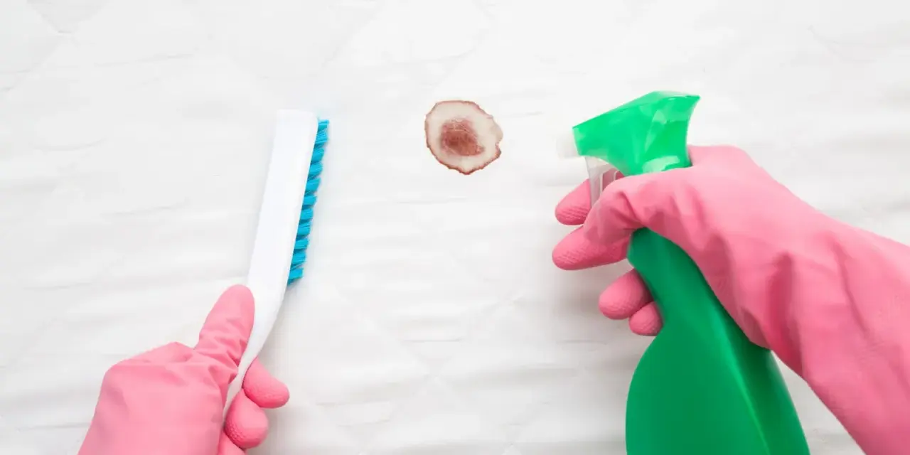 Mains gantées de rose utilisant un spray et une brosse pour enlever une tache de sang déjà lavée sur un matelas blanc.