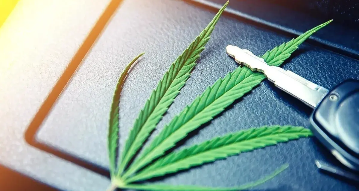 Privatrezept Cannabisblüten Autofahren: Rechtliche Risiken und Tipps