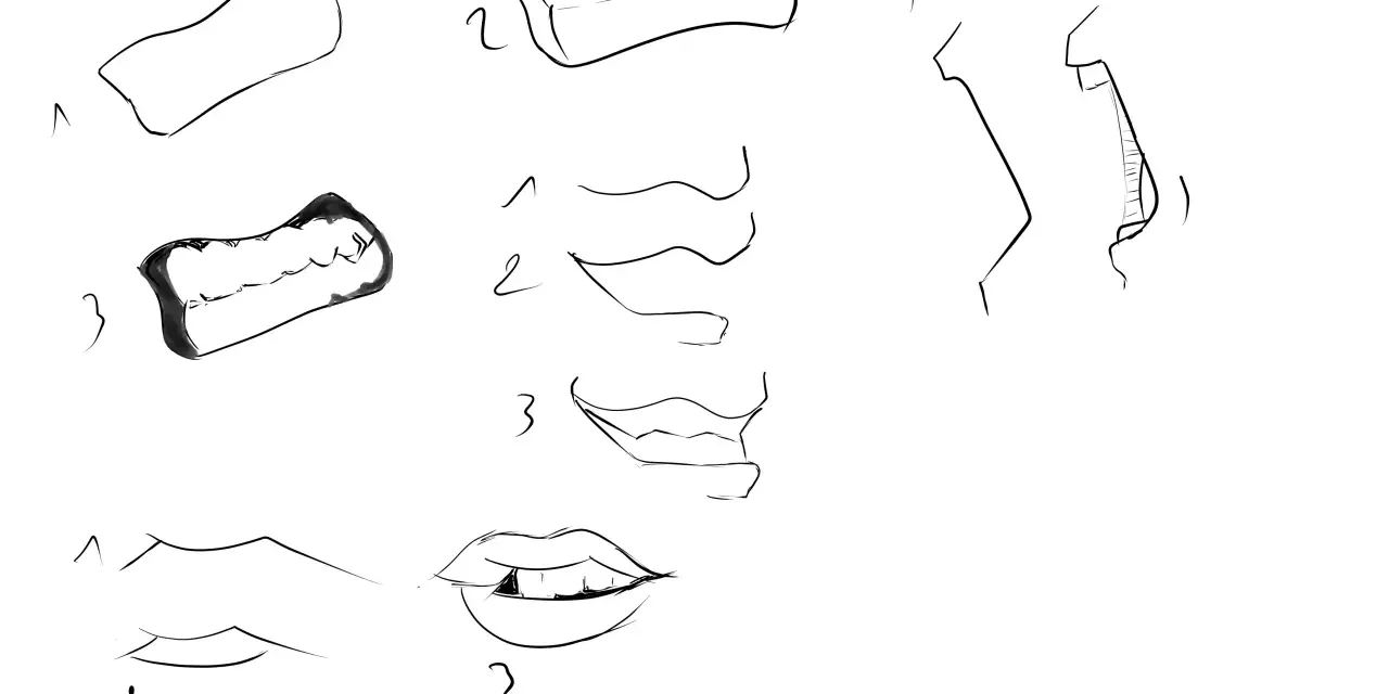 Étude de bouche et de dents, un dessin dent facile pour apprendre à dessiner.