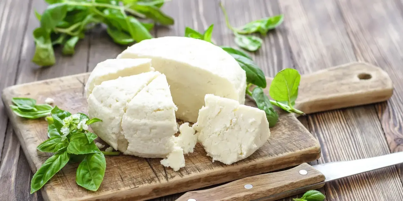 Chudy twaróg na desce z bazylią. Zastanawiasz się, ile białka ma twaróg chudy? To świetne źródło protein!