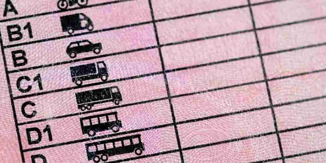 Detalle de un carnet de moto con el de coche, mostrando categorías de vehículos como camiones y autobuses.