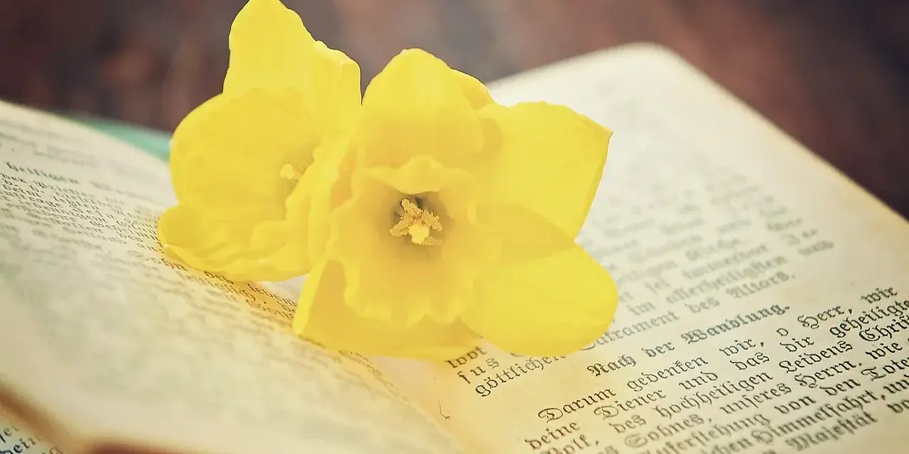 Dwa żółte narcyzy na otwartej księdze, przypominające o słowach z psalm 127.