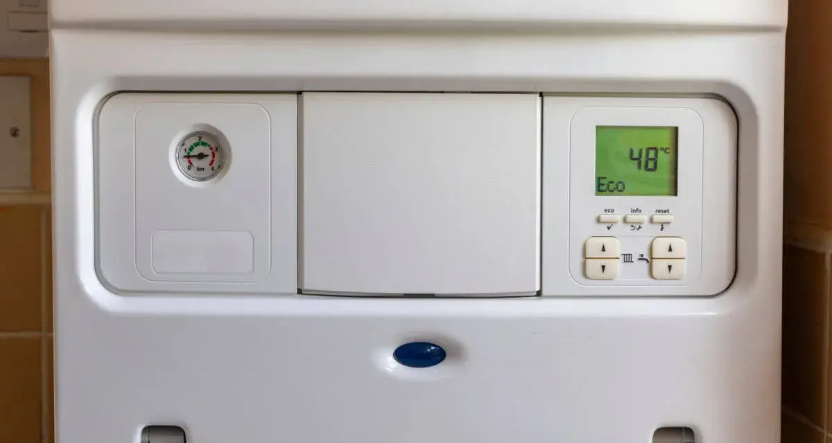 Scaldabagno Sylber non si accende. Il display mostra 48°C in modalità Eco, ma il manometro indica pressione bassa.