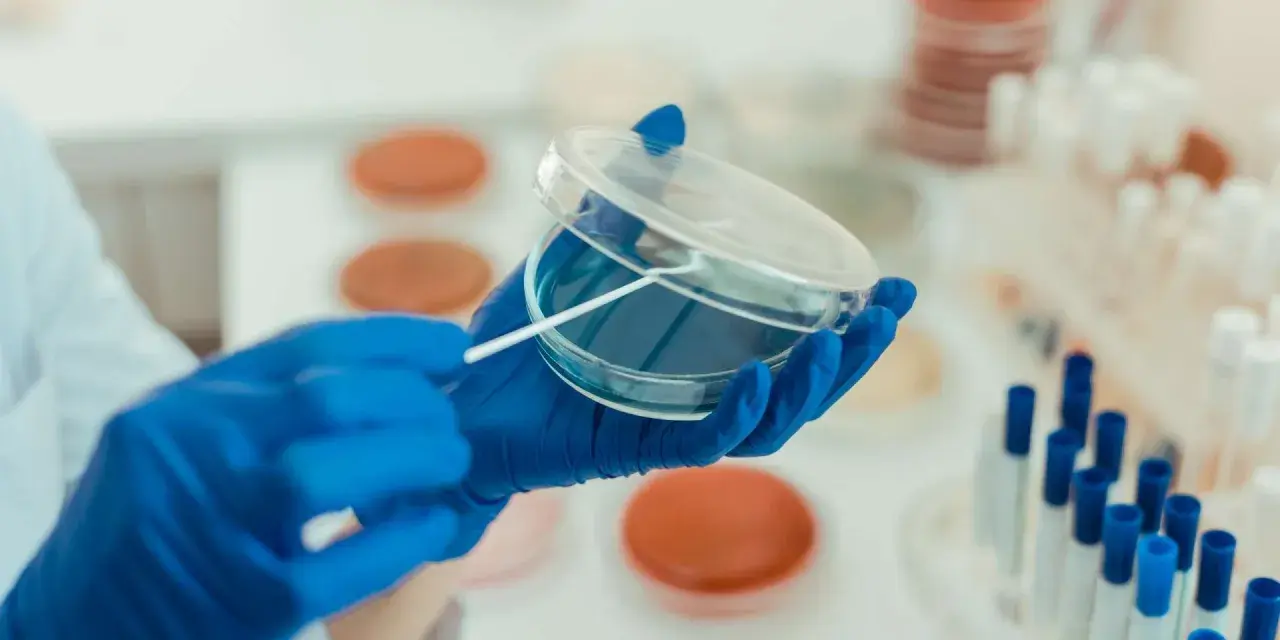 W laboratorium chemicznym probówka służy do przechowywania, mieszania i reakcji substancji. Tutaj badacz pobiera próbkę do analizy.