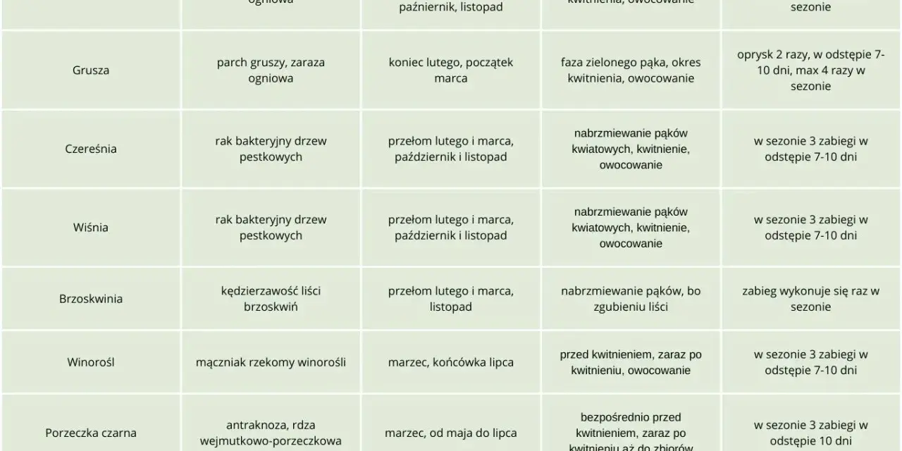 Kiedy pryskać miedzianem drzewa owocowe? Tabela podpowiada terminy oprysków jabłoni, grusz, czereśni, wiśni, brzoskwiń, winorośli, porzeczek i borówek.