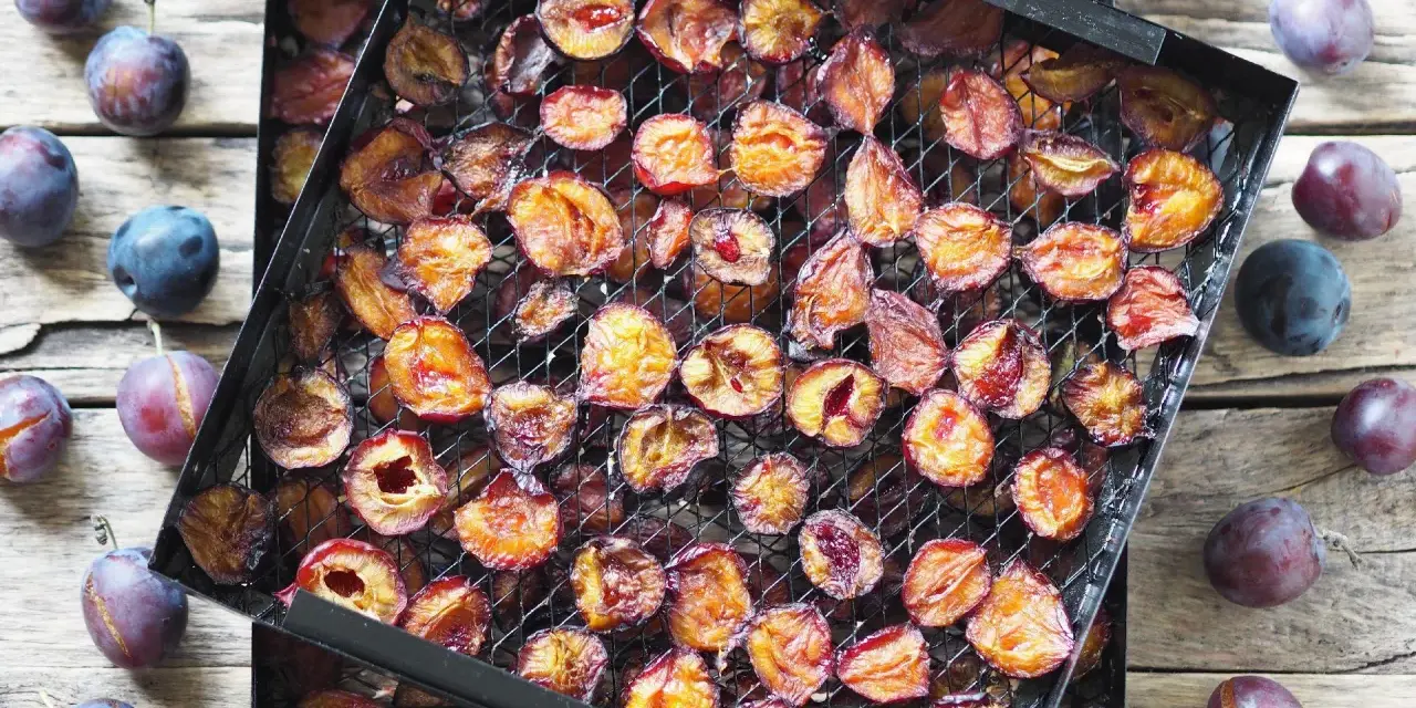 Suszone śliwki na ruszcie, gotowe do dalszej obróbki. Dowiedz się, jak suszyć śliwki w piekarniku, by uzyskać pyszne suszone owoce.