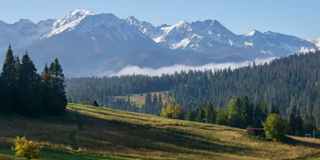 Gubałówka wysokość. Majestatyczne Tatry z ośnieżonymi szczytami górują nad zielonymi zboczami i gęstym lasem.