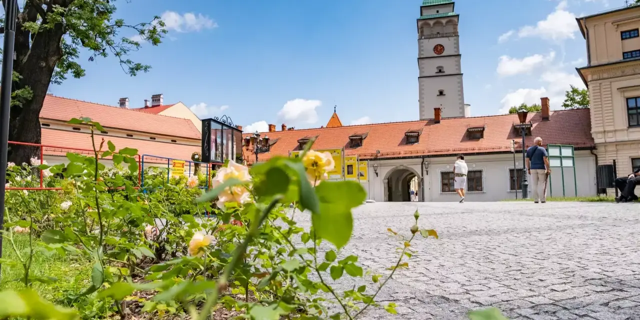 Kwiaty na pierwszym planie, w tle wieża ratuszowa i zabudowania na żywiec rynek.